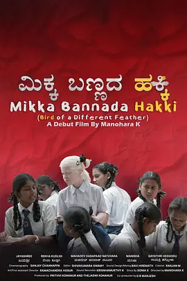 免费视频一区二区